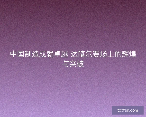 中国制造成就卓越 达喀尔赛场上的辉煌与突破
